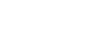 hairnut